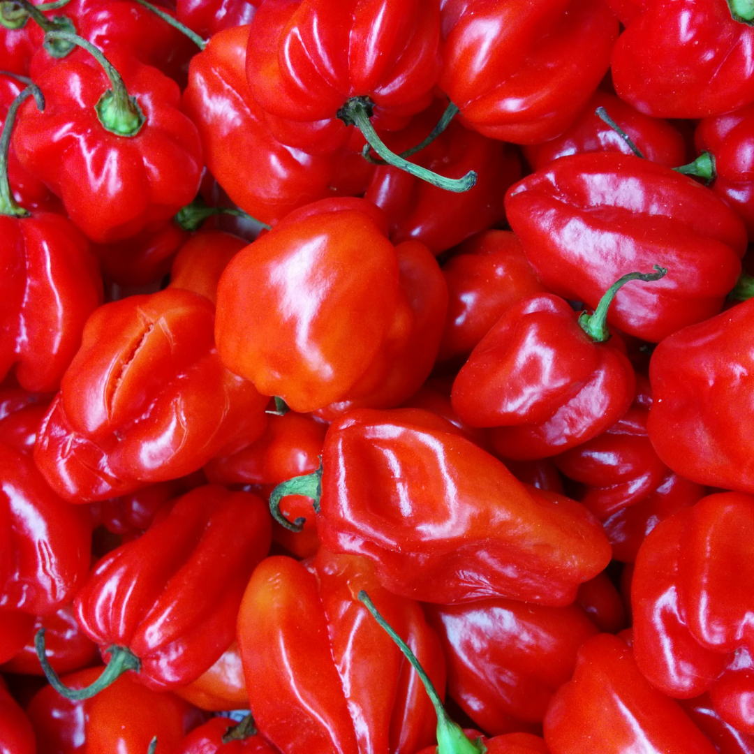 Original Pepper Sauce
